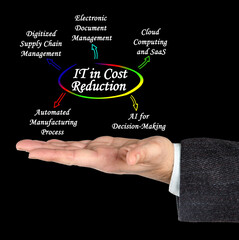 Uses of IT in Cost Reduction