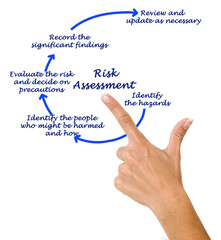 Five Components of Risk Assessment