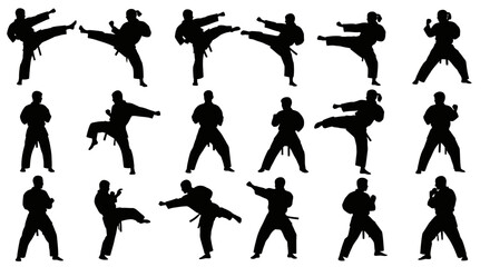 Dynamic Karate Silhouettes: Martial Artists in Action, Striking Poses and Fighting Stances