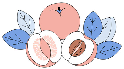 Summer Peaches with Leaves