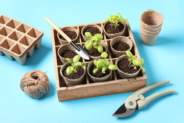 Wooden organizer with plant seedlings and gardening tools on color background