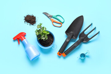 Composition with plant and different gardening tools on color background