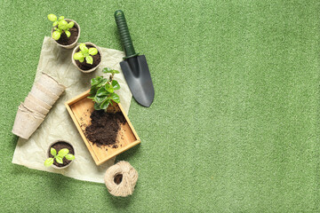 Wooden box with soil, plants and gardening supplies on green background