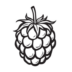 Obraz premium Black and white raspberry illustration