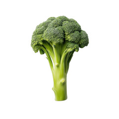 Fresh Green Broccoli Head Isolated on White Background Perfect for Healthy Eating and Nutrition Concepts Transparent background or png