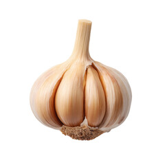 Fresh Organic Garlic Bulb Isolated on White Background for Culinary and Health Uses in Cooking and Nutrition Transparent background or png