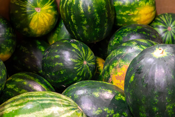 pile of ripe watermelons with dark green rinds and light stripes, arranged together at a market stall or in a store