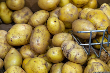 Fresh young potatoes at an outdoor market, displayed in bulk with a metal scoop. The potatoes have a natural, slightly dirty skin.