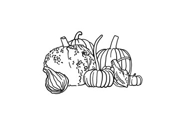 Pumpkin Pile Illustration png hand drawn pumpkins halloween October farm produce vegetables gourd squash autumn fall spooky festive party event asset marketing blackline minimal whimsical patch pick