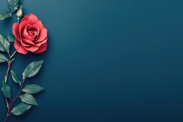 Deep teal backdrop with a vibrant red rose