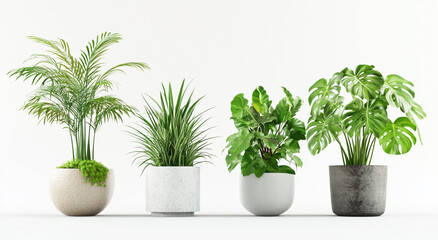 Fototapeta premium Houseplants in Pots – 3D Realistic Render