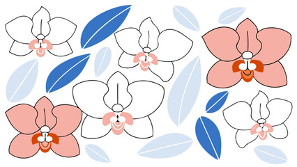 Elegant Orchid Floral Pattern