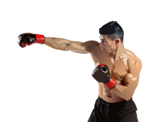 Young muscular man with boxing gloves training for a fight
