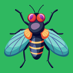 fly image