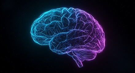 Human Brain Neural Network, Cognitive Function, Neuroanatomy, Mind, Intelligence