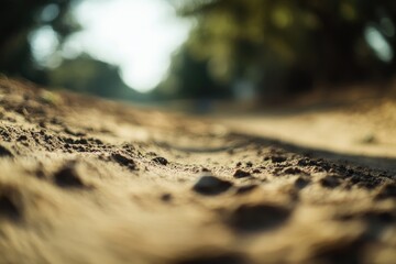 Close-up view of a sandy path, blurred background