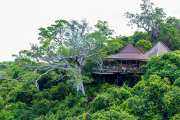 The natural scenery of Yalong Bay Tropical Forest Park in Sanya, Hainan Province, China