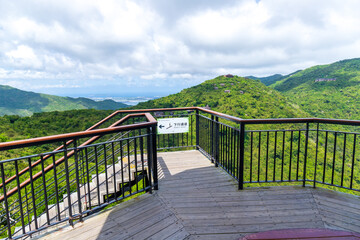 The natural scenery of Yalong Bay Tropical Forest Park in Sanya, Hainan Province, China