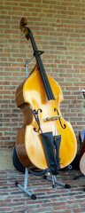Tall and proud stands the 6 foot upright bass. The large low pitched instrument will soon be wooing the audience. It stands is displayed on a brick floor and background.