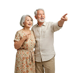 portrait of happy senior couple