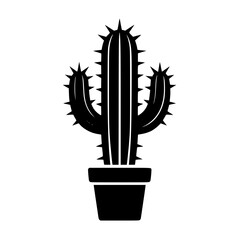 cactus in a pot