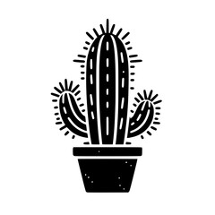 cactus in a pot