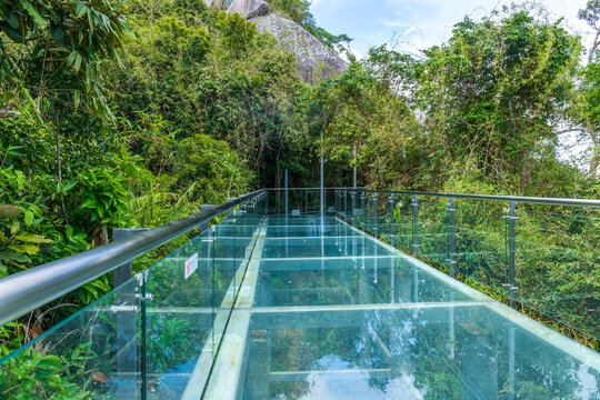 The glass walkway in Yalong Bay Tropical Forest Park, Sanya, Hainan, China