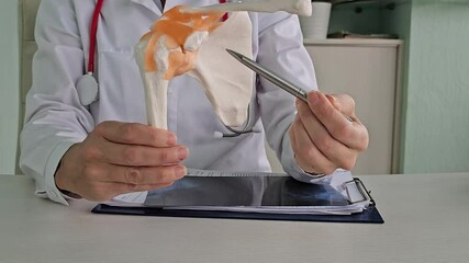 Doctor discusses hip joint anatomy with a detailed model during an educational session on human skeletal structure