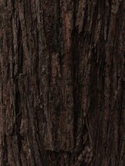 The bark's surface texture is revealed in this photo, showcasing a rough, dark brown hue with distinct grooves and cracks that hint at its natural aging.