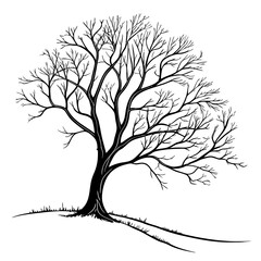 Obraz premium Naked Tree silhouette on white backgrounds. Hand drawn isolated illustrations