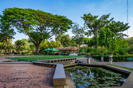 Sunny view of Saranrom Park with a pond and the large Samanea saman tree surrounded by tropical greenery. Bangkok, Thailand, Southeast Asia.
