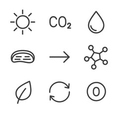 Photosynthesis Icon Set. Outline icon set of photosynthesis overview: sunlight, carbon dioxide molecule, water droplet,
