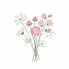Obraz premium Delicate Pastel Bouquet of Cosmos, Sweet Peas, and Pincushions