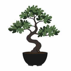Serene Bonsai Tree in Black Pot with Curving Trunk and Green Leaves