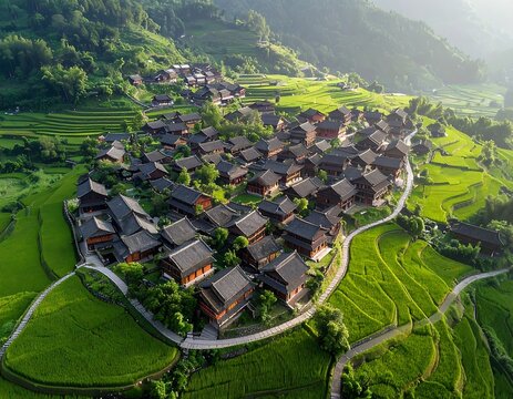 traditional village beside green rice paddies with curved paths and old rooftops