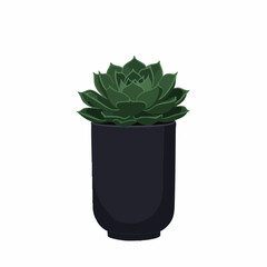 Vibrant Succulent in a Modern Pot