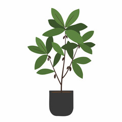 Lush Green Plant in Simple Dark Pot, Minimalist Illustration
