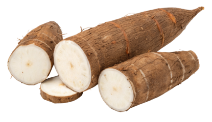 Discover fresh cassava roots and slices for cooking and culinary uses a staple ingredient for recipes
