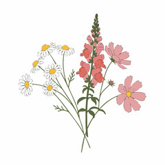 Delicate Floral Bouquet Featuring Daisies, Snapdragons, and Cosmos in Bloom.