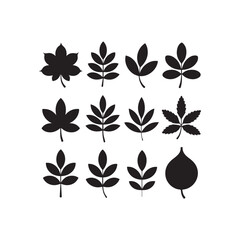 Collection of Simple Black Leaf Silhouettes Perfect for Nature Designs Autumn Decor Botanical Illustrations