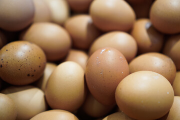 A lot of chicken eggs are stacked randomly. Defocussed of chicken eggs.