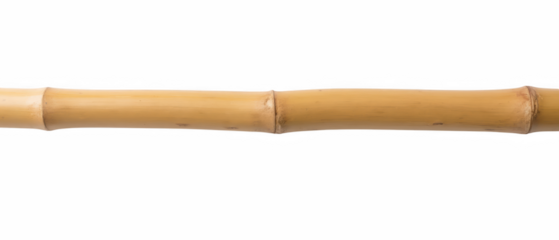 Bamboo stick natural material smooth texture light color eco friendly sustainable resource versatile use decorative element