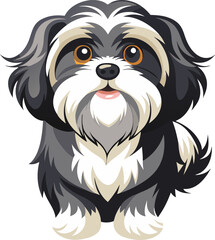 Shih Tzu dog