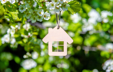 The symbol of the house among the branches of the hawthorn
