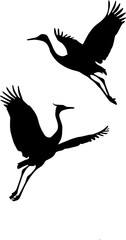 vector illustration of a bird