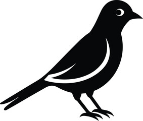 Lilac Breasted Roller silhouette vector art illustration and minimal black and white design