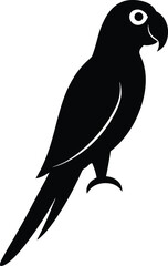 Macaw Bird silhouette vector art illustration and minimal black and white design