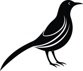 Sunbird silhouette vector art illustration and minimal black and white design