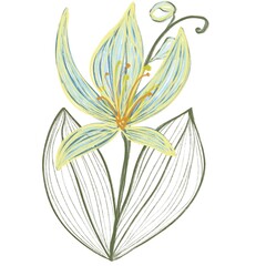 Illustration of vibrant yellow -blue orchids with lush green leaves. The yellow orchids are detailed and vibrant, showcasing the beauty of yellow orchids in nature. Vintage flower illustration. Crayon