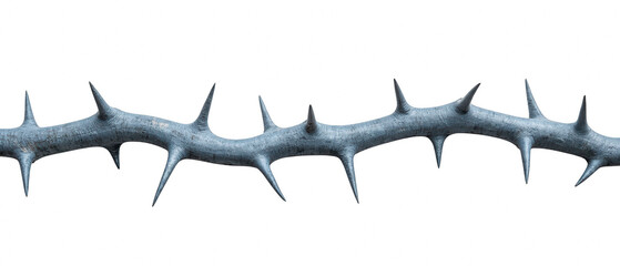 Detailed close up of thorny branch with sharp spikes, showcasing its rugged texture and natural beauty